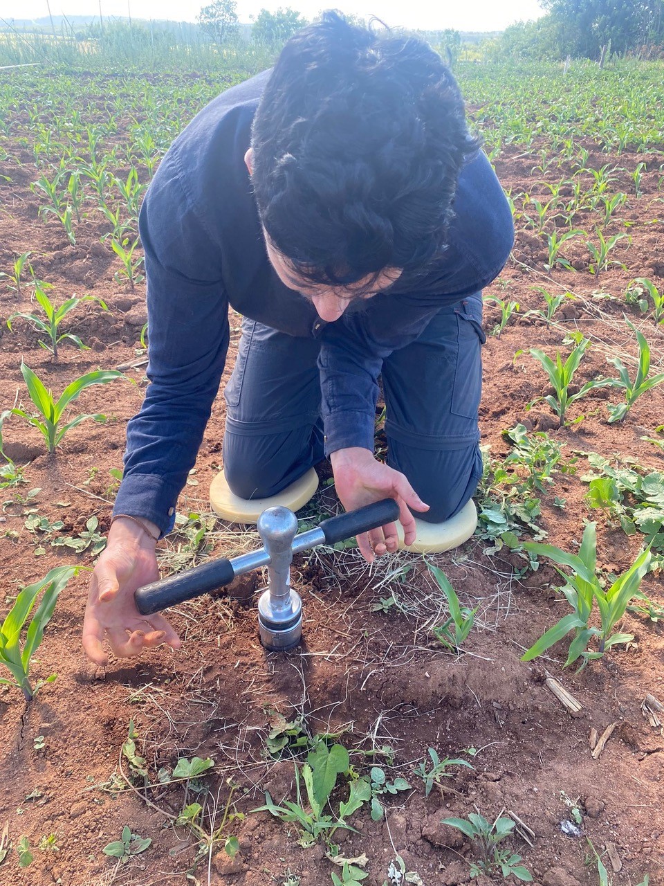 Soil Biogeochemistry Laboratory (SOIL)