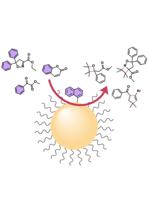 Untitled Design (11)