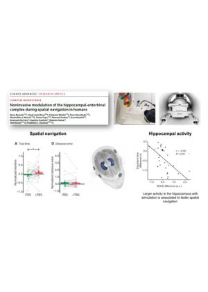 Untitled Design (17)